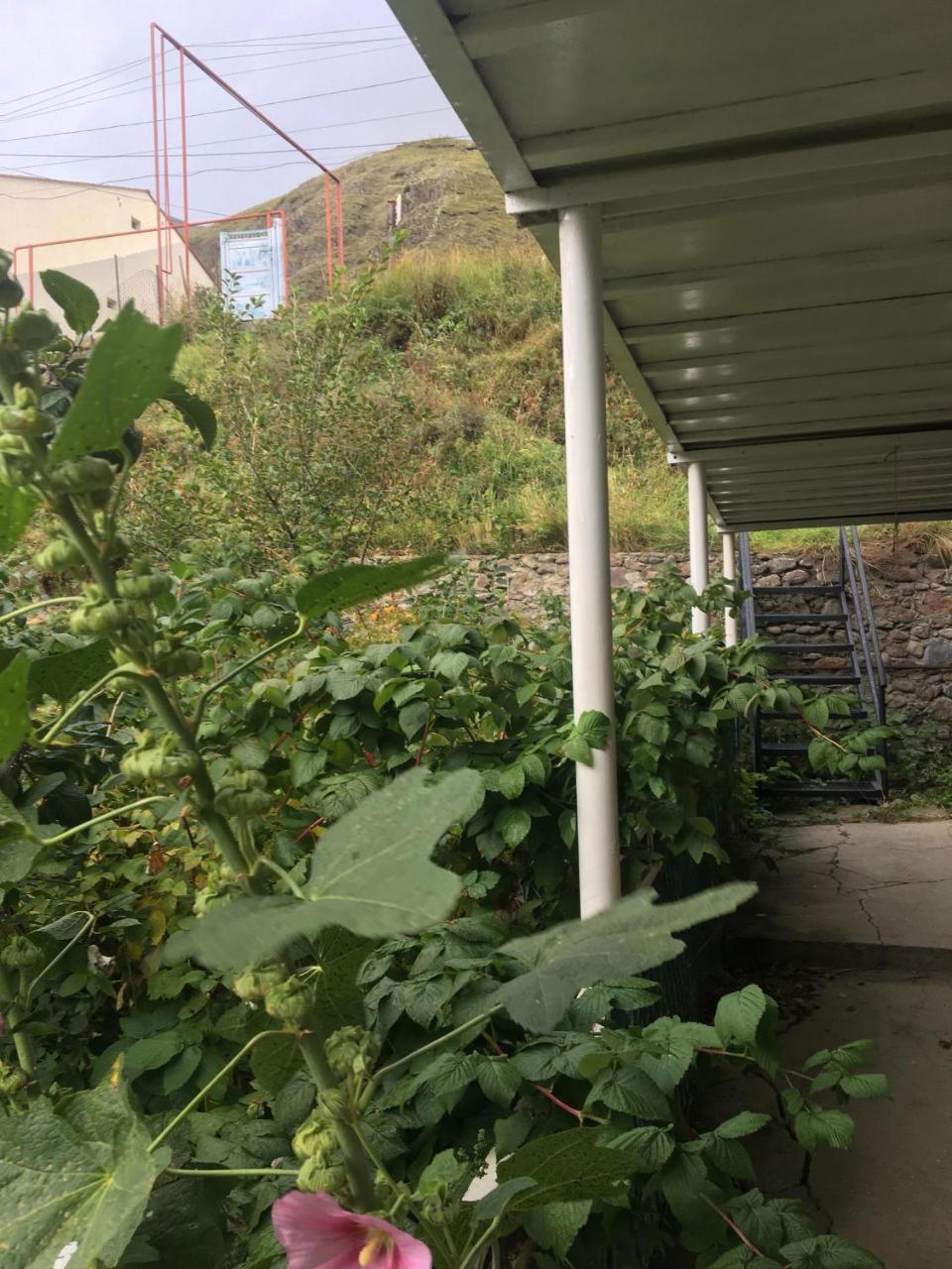 קזבגי Maia'S Guest House Gergeti מראה חיצוני תמונה